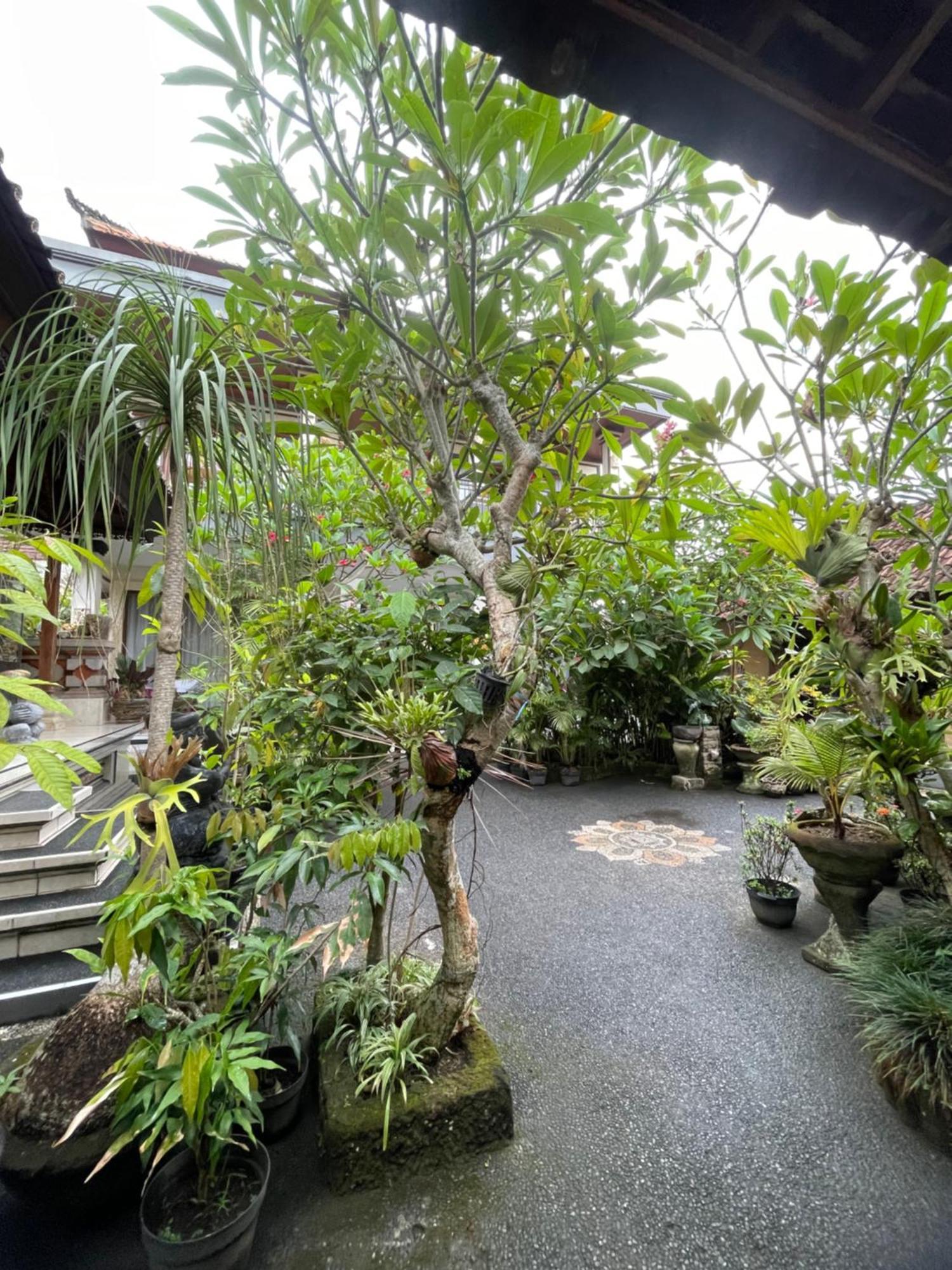 Suntari Homestay Ubud Eksteriør billede